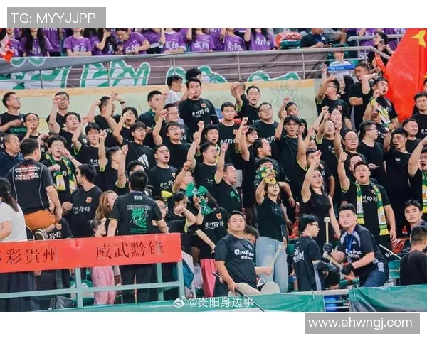 贵阳奥体足球明星的崛起与成就探秘，谁是这座城市的骄傲代表