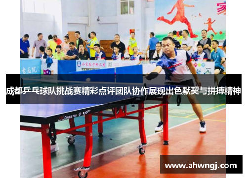 成都乒乓球队挑战赛精彩点评团队协作展现出色默契与拼搏精神